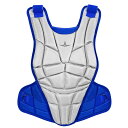 オールスター ALL-STAR キャッチャーギア キャッチャー防具 プロテクター 捕手 女子ソフトボール CPWAFX-WBL ※キャンセル不可商品