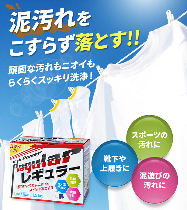 ☆リニューアル☆ レギュラー洗剤 3kg アルク有限会社 泥汚れ専用洗剤 レギュラー ユ...