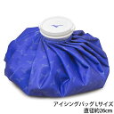 氷のう アイシングバッグ ミズノ Lサイズ 直径約28cm 野球 サッカー フットサル アイシング 氷嚢 1GJYA327 1GJYA32700