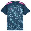 サッカー フットサル プーマ INDIVIDUAL グラフィックシャツ 半袖 Tシャツ オーシャントロピック プラクティスシャツ PUMA2024SS 659383-56