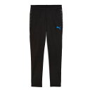 サッカー フットサル プーマ INDIVICUP TR トレーニングパンツ ロングパンツ プーマブラック 660486-07