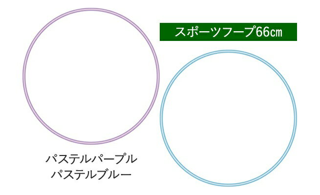フラフープ フープ 【24本】スポーツ 66cm 24本 アソート パープル ブルー 各12本 子供用 学童 日本製 幼児 幼稚園 保育園