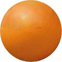 バランスボール エクササイズボール Gymnic ギムニク メガボール 150cm D5455 ヨガボール リラックス 体幹 エクササイズ トレーニング リハビ...