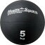 メディシンボール SLAM MEDICINE BALL 5KG D5284 メンズ レディース 歩行 鉄アレー 筋ト リハビリ