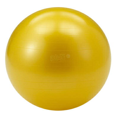 バランスボール エクササイズボール Gymnic ギムニクカラーボール PLUS 65cm D5422Y ヨガボール リラックス 体幹 エクササイズ 室内 トレーニング リハビリ ウエルネス イタリア製
