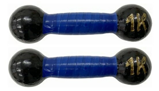 ダンベル 鉄アレー 1kg 2本セット DP003