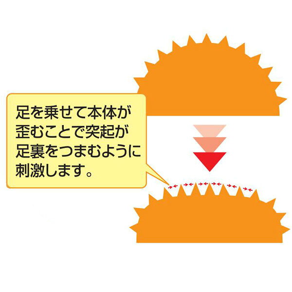 �ե��åȥͥ� �ȥ졼�˥� �Х�󥹥ݥå� �Х�󥹥��å���� DBP200 ���� �ȥ졼�˥� ��ǽ�Х�󥹥ȥ졼�˥󥰥����ƥ� �Х�� �δ�