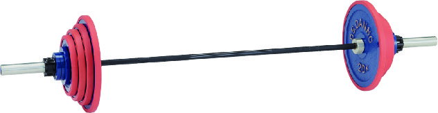 バーベルセット A220バーベル 100kgセット D722