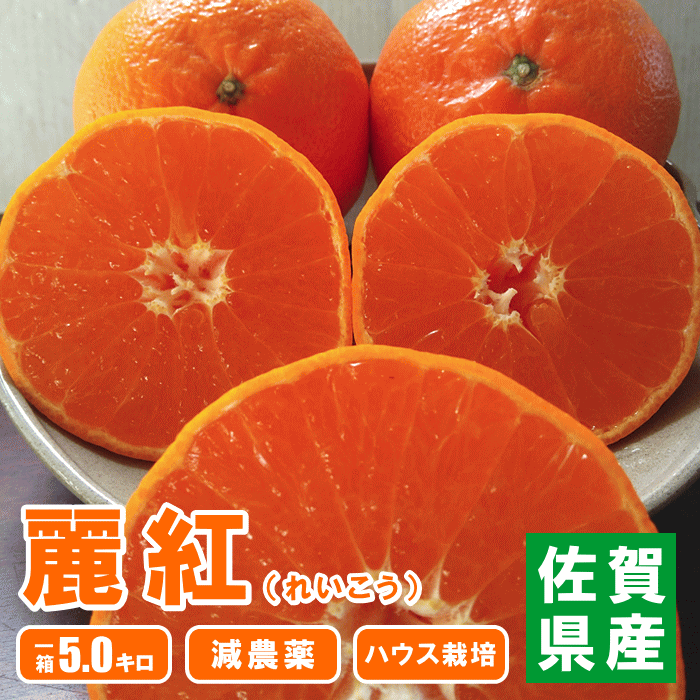 みかん 蜜柑 ミカン 麗紅（れいこう） ハウスみかん 農家直送 減農薬 佐賀県産 唐津産【5kg×1箱】のサムネイル