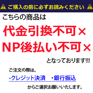 KANEYA[カネヤ］ソフトテニス用品 テニスフェンスDX 簡易ネットとしても使用可【送料無料】【smtb-MS】【代引不可】 2