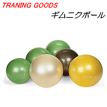【ギムニクボール(65cm)】バランスボール トレーニンググッズ 筋トレ 体幹トレーニング ストレッチ エクササイズ リハビリ バランス運動 骨盤矯正したい方に(川上トレーナー ソフトテニス)【メーカー】