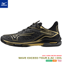 マルチ袋付き MIZUNO ミズノ ソフトテニスシューズ WAVE EXCEED TOUR 6 AC 10th ウエーブ エクシード オールコート用：2E 61GA2476【特典】