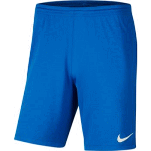 ★全品10%OFFクーポン配布中！9/4 20時〜4h限定★NIKE サッカー フットボール パンツ 練習着 ナイキ パーク III NB ショート ジュニア キッズ 子供用 BV6865 463