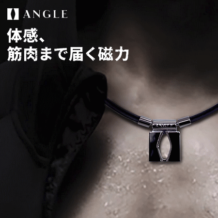 ¨ȯ 󥰥 ͥå쥹 ANGLE e.MODEL 01 NECKLACE Ĥ餤ꡦ桦Բ˸ ꥫХ꡼...