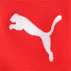PUMA プーマ サッカー LIGA ストッキング ソックス 靴下 フットボール キッズ ジュ...