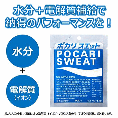 ポカリスエット 大塚製薬 スクイズボトル 1本...の紹介画像2
