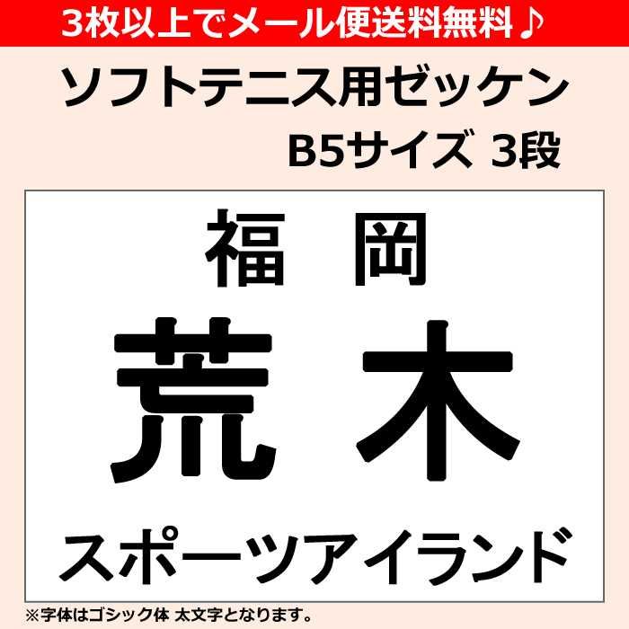 3枚以上でメール便送料無料 ソフト