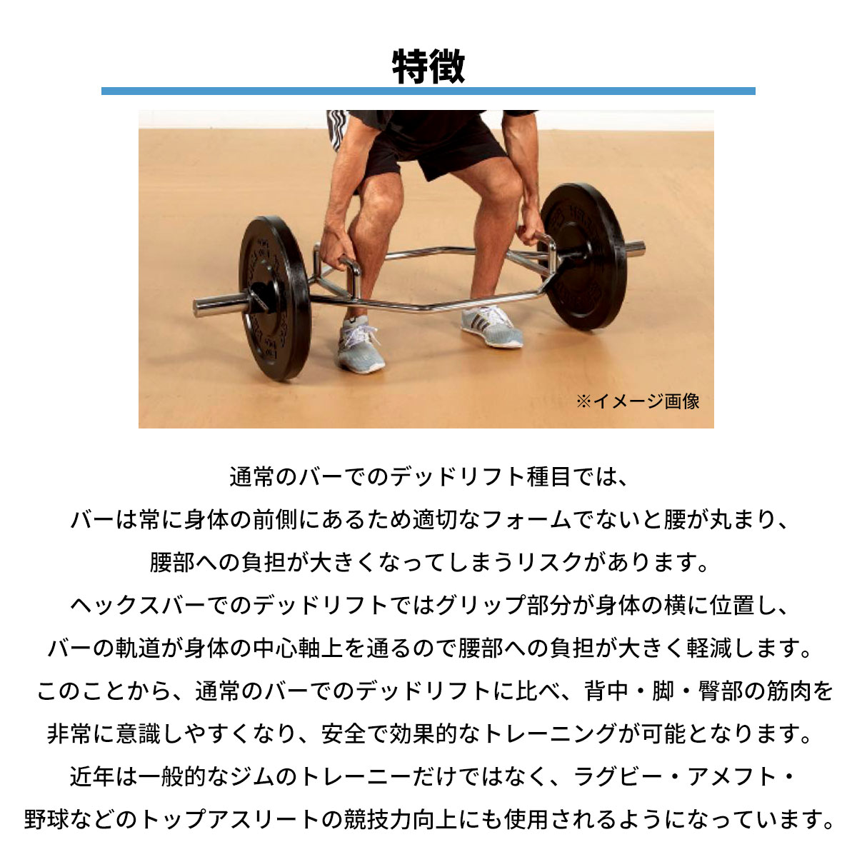 ����å��� �ȥ졼�˥� ���� �����ԥå� �إå��� �С� OHX-1 ALEX