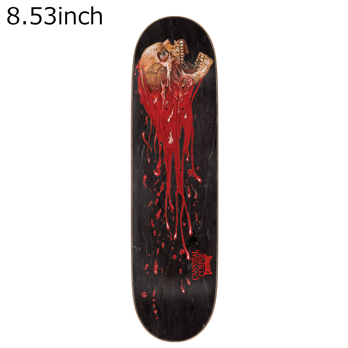 クリーチャー CREATURE スケボー スケートボード デッキ 板 CANNIBAL CORPSE SKULL...