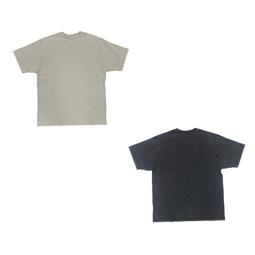 【お買い物マラソン期間中P5倍★8/24 20:00〜8/27 09:59まで】リーフ REEF サーフィン サーフ ウェア 半袖 Tシャツ REEF WILD S/S TEE RFTEM2510 メンズ 男性 25SP 春夏