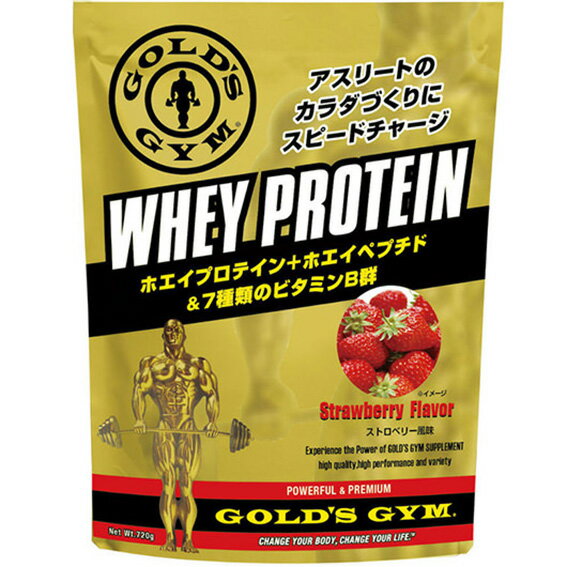 y TNKzS[hW Tvg GGP zGCveCXgx[720g F5672 GOLD'S GYM