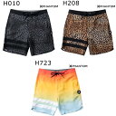 ハーレー Hurley サーフィン サーフ 水着 ボードショーツ トランクス 海パン MENS PHANTOM BLOCK PARTY ECO SIDE POCKETS 18 MBS0011860 メンズ 男性 24SP