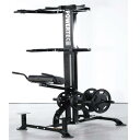 パワーテック トレーニングギア チンディップ アシスト L-CDA-19 POWERTEC