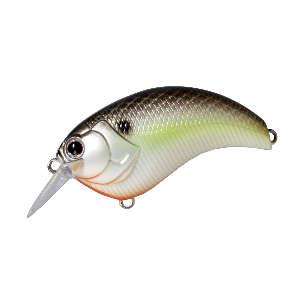 ڳŷѡSALEP10ܡ12/4 20:0012/11 1:59ޤǡۥǥץ DEPS 륢 󥯥٥ EVOKE 2.0 ֥åХ...