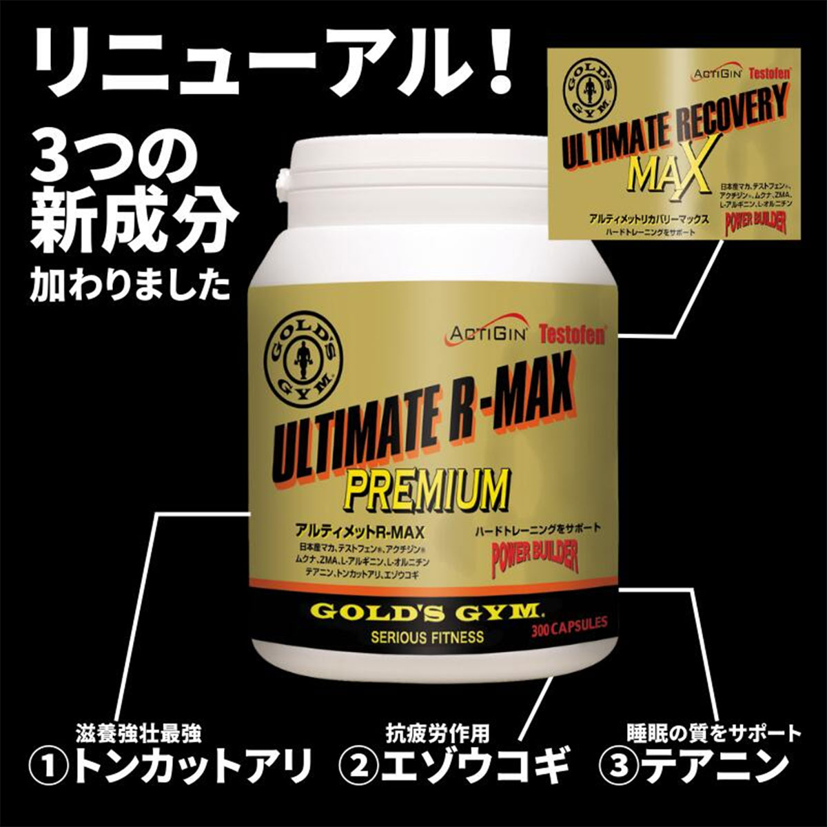 【お買い物マラソン期間中P5倍★3/20 20:00〜3/26 1:59まで】【送料無料 TNK】ゴールドジム GOLD'S GYM サプリメント アルティメットR-MAX プレミアム 300粒 リカバリー テアニン トンカットアリ エゾウコギ マカ アミノ酸 アルギニン オルニチン 亜鉛 マグネシウム F2340