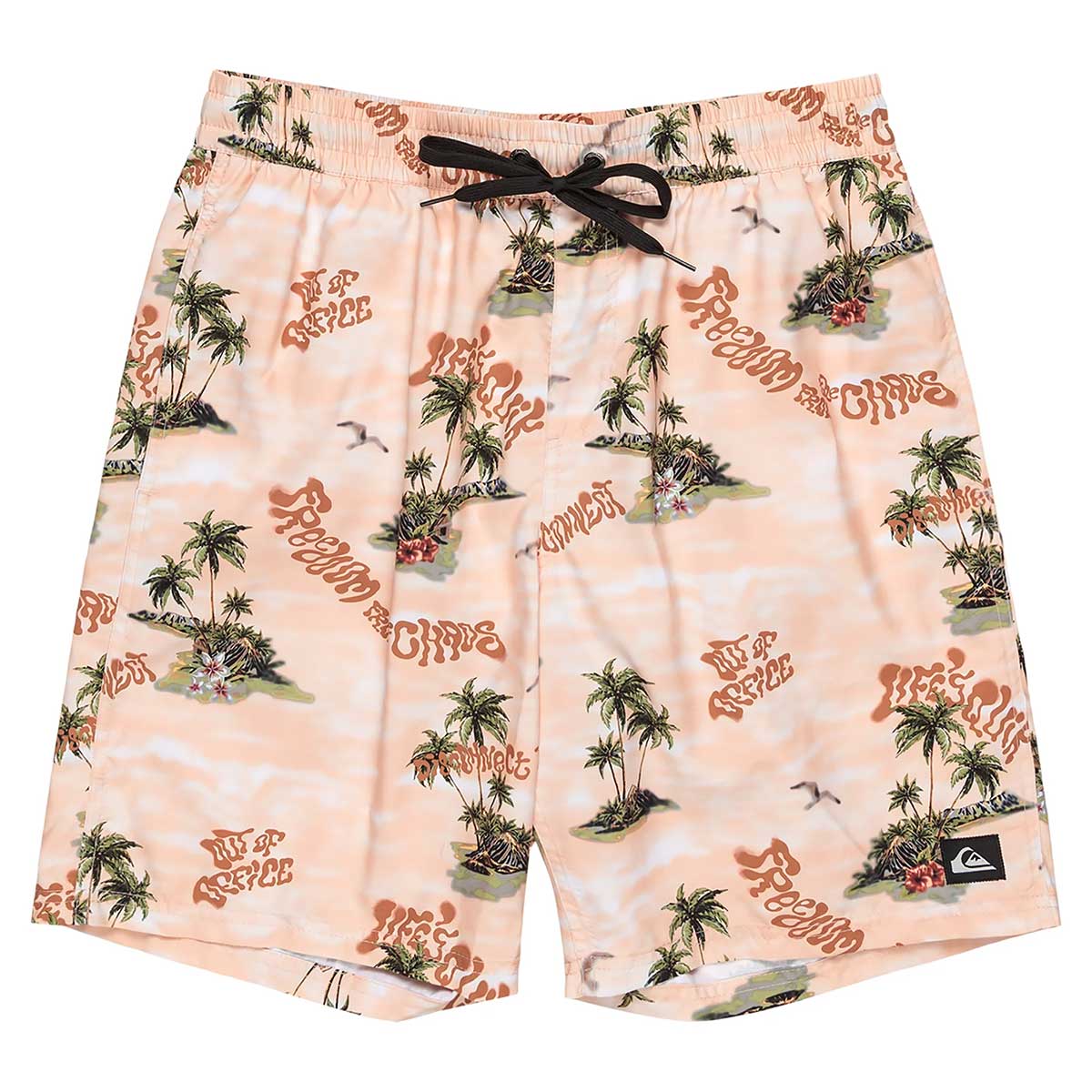 クイックシルバー QUIKSILVER サーフィン サーフ 水着 ボードショーツ トランクス 海パン EVERYDAY STRAIGHT VL 19 ボードショーツ QBS251001 メンズ 男性 25SP 春夏
