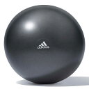 【送料無料 TNK】アディダス トレーニング ギア ジム ボール 55cm ADBL-11245 adidas