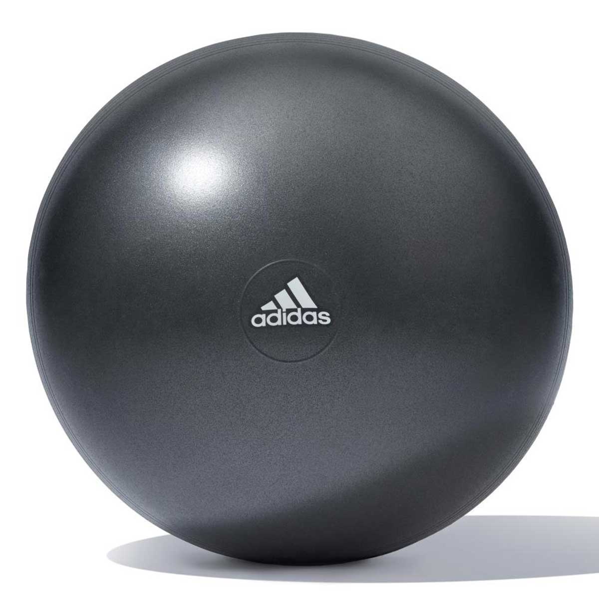 【送料無料 TNK】アディダス トレーニング ギア ジム ボール 65cm ADBL-11246 adidas