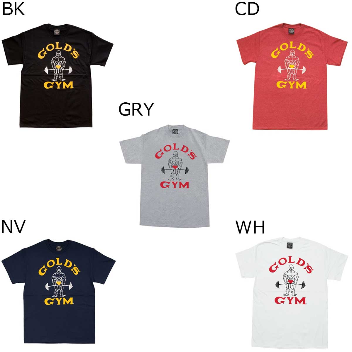 【送料無料 TNK】ゴールドジム トレーニング ウェア メンズ ベーシック Tシャツ (クラシックジョー) G7143 GOLD 039 S GYM