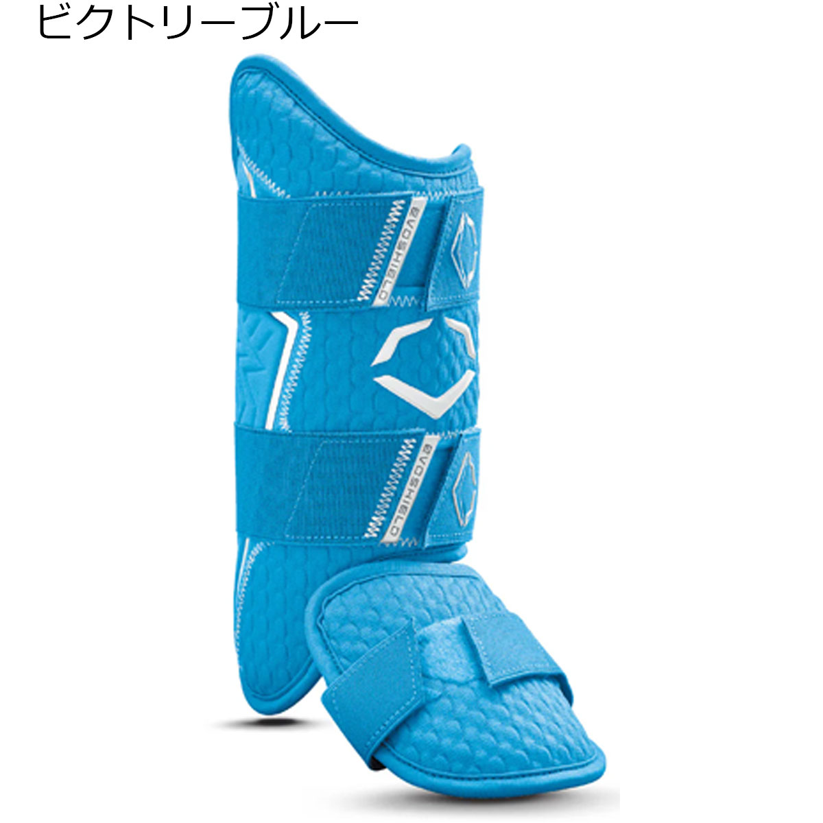 wb57269vicblu.jpg