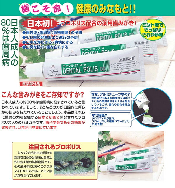 あす楽　デンタルポリスDX　80g　医薬部外品　歯磨き粉　歯周病予防　プロポリスエキス配合