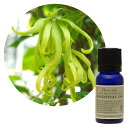 FL エッセンシャルオイル イランイラン 10ml 精油 フレーバーライフ アロマ 100% ピュアエッセンシャルオイル ナチュラル アロマランプ 芳香浴 ディ...
