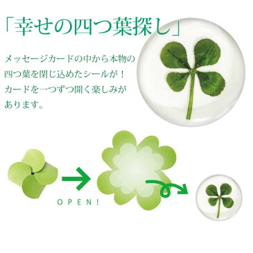 メール便OK アルタ 花咲く色紙2 色紙 AR0819074 AR0819075 寄せ書き 満開体験 折りたたみ式メッセージカード 色紙 思い出 卒業 引越し 退職 記念 送別