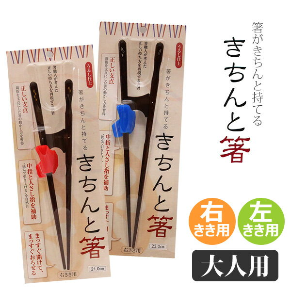 イシダ　きちんと箸　うるし仕上げ　大人用　右きき用　左きき用　矯正箸　日本製