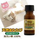 猫用 またたび 粉末 5g 虫えい果（ちゅうえいか）100% 純粉末 ねこ ネコ 猫 またたび 粉 日本製