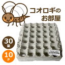 コオロギのお部屋 30室 10個セット コオロギ 飼育ケース 295x295xH43mm 昆虫 飼育 繁殖用 卵トレー 卵パック SMILE PET CLUB