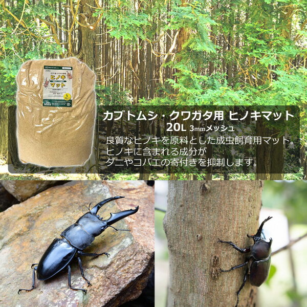 ���֥ȥॷ�����塞���� �ҥΥ��ޥå� 20L �� ����ޥå� �ҤΤ� �������� �ҥΥ� ���å� ����ʴ ���Х������ˤ������� ����ޥå� ���塞�� ���֥ȥॷ �� SMILE PET CLUB