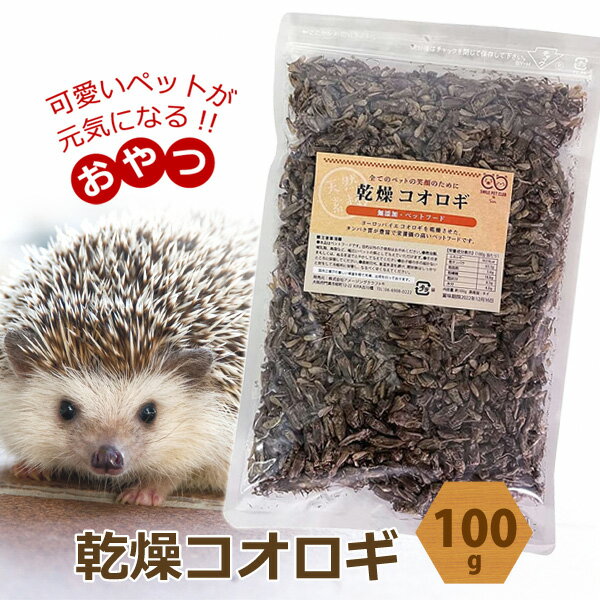 乾燥 コオロギ 100g 約1000匹〜1200匹　ドライコオロギ イエコオロギ 爬虫類 両生類フード 爬虫類 観賞魚 小動物 鳥類の餌に　ドライフード タンパク質が豊富で栄養価の高いペットフードです。 ヨーロッパイエコオロギを食用に乾燥させました。 そのままもしくは、お湯でふやかしてから与えてください。 アロワナ、トカゲ、カエル、ハリネズミ、ひよこなどのエサに。 ふやかして小さく砕くと、小さい生き物も食いつきが良くなります。 ・内容量 100g ・使用上の注意 商品の特性上、配送時の衝撃などで、砕けてしまう可能性がございます。 なるべくそのような事が起こらないようにパッケージに改良を加えておりますが 何卒ご理解頂けますようお願いいたします。 ・発売元 株式会社アメージングクラフト ・広告文責 株式会社スポット　TEL:06-6902-7681 ※PC状況によって実際のお色と見え方が異なる場合がございます ※予告なくパッケージ・外観等変更になる場合がございます 予めご了承お願いいたします。ペットのおやつ 乾燥コオロギ ラインナップ 乾燥コオロギ 50g 約500〜600匹 ペットのおやつ 乾燥コオロギ 100g 約1000〜1200匹 ペットのおやつ