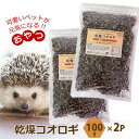 乾燥 コオロギ 100g 2個セット 約2000匹〜2400匹 ドライコオロギ イエコオロギ 爬虫類 両生類フード