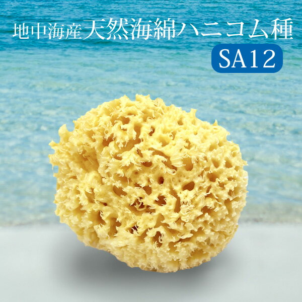 ベリーニ 天然海綿ハニコム種 SA12 約10〜12cm ボディスポンジ シースポンジ 赤ちゃん 敏感肌 天然成分100% Shasa Bellini