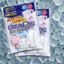 自動製氷機洗浄剤 氷クリア 2個セット 製氷機用洗剤 10g×3回分 製氷機 クリーナー 掃除 メール便発送
