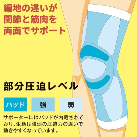 D&M �Х졼�ܡ��� ɨ���ݡ����� �饤�󥵥ݡ����� ���󥰥ˡ� 1���� ������ 843 �ǥ����������2�Ĥޤǥ᡼����OK��