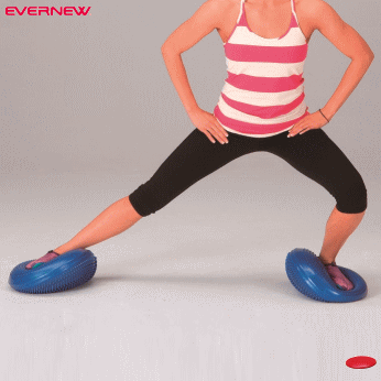 EVERNEW エバニュー バランスクッション ETB616