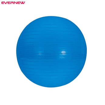EVERNEW エバニュー ジムボール 65 バランスボール ETB624