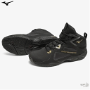 ミズノ MIZUNO フィットネスシューズ ダンス エクササイズ ウエーブダイバースLG4 メンズ 男性用 レディース 女性用 K1GF2271