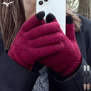 即納 ミズノ MIZUNO 手袋 ブレスサーモ ふわもこ タッチパネル対応 メンズ 男性用 レディース 女性用 C2JYA605【1点までメール便OK】